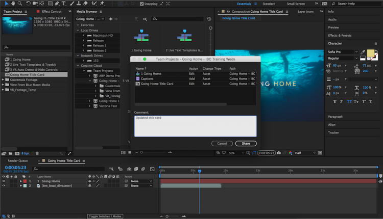 AE - Team Projects