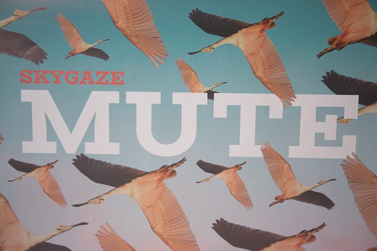 Artlist album cover